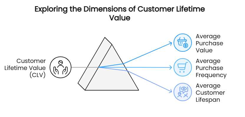 Exploring the Dimensions of Customer Lifetime Value