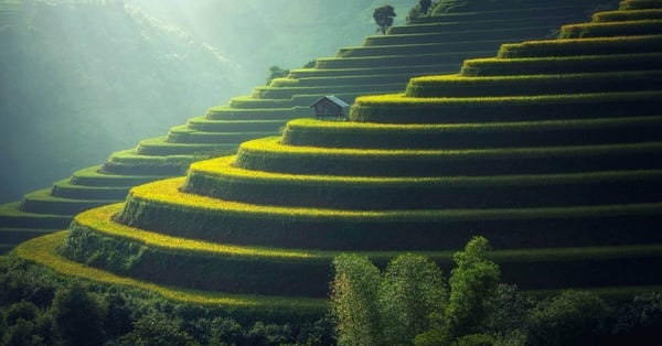5 Examples of SaaS Marketing Strategies that Killed It