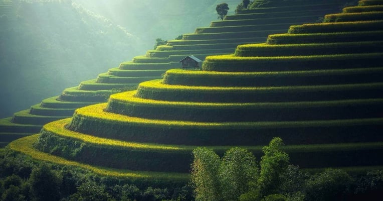 5 Examples of SaaS Marketing Strategies that Killed It