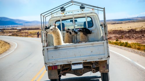 AdobeStock_65254243