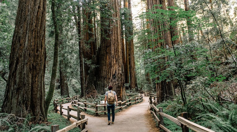 How to Create Evergreen Content That Won't Stop Growing