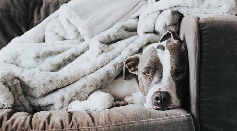 10 Ways To Be Really, Really Bad at Sales