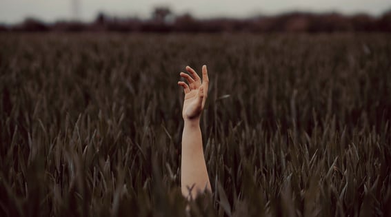 HubSpot Marketing Pricing: How to Get the Best Deal for Your Business