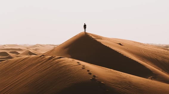 The Best Marketing Growth Strategies You Can Steal Today