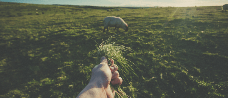 Blogging for Business: 3 Easy Tips to Attract More Leads