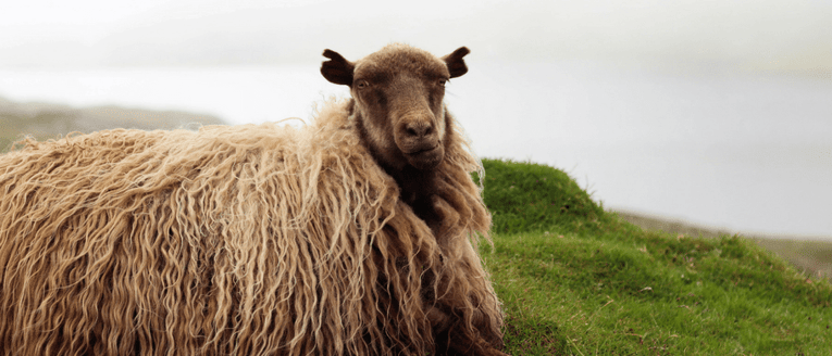 8 Content Marketing Mistakes You Should Have Stopped Making 5 Years Ago