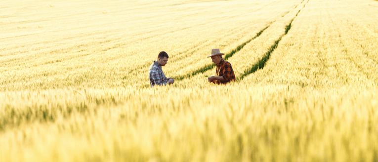 Lead Generation Companies vs Marketing Agencies vs Internal Staffing: Which is Best?