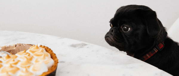 10 Video Marketing Tips That Make Producing Great Marketing Videos Easy as Pie