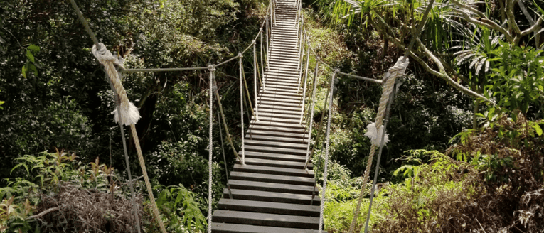 The 5 Essential Steps in the Website Content Creation Process