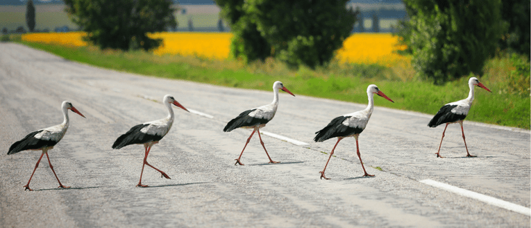 Is Your Site Ready For A Website Migration To HubSpot?