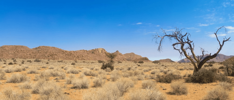 Why Is Content Marketing Important? Because the Alternative is Irrelevance