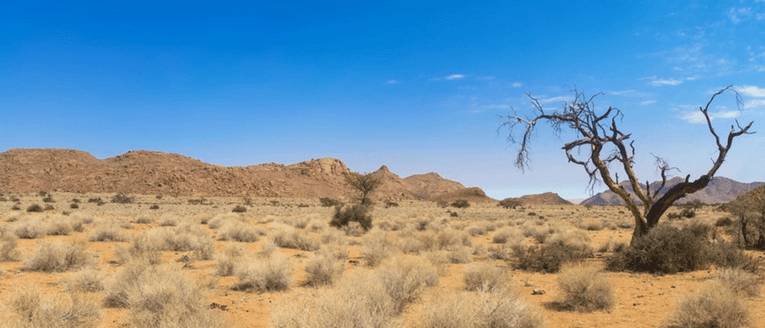 Why Is Content Marketing Important? Because the Alternative is Irrelevance