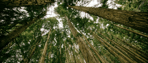 An In-Depth Look At How HubSpot Does Lead Nurturing