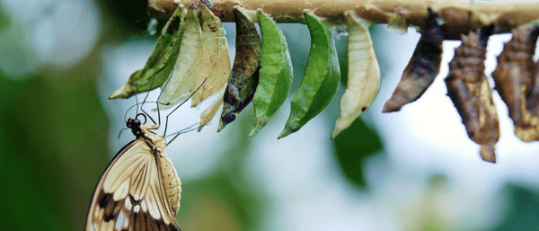 5 Ways HubSpot Empowers Lifecycle Marketing